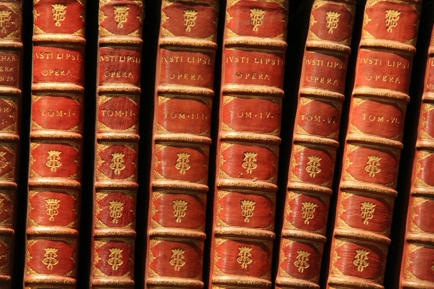 Antichi libri in pelle con scritte dorate allineati su uno scaffale.